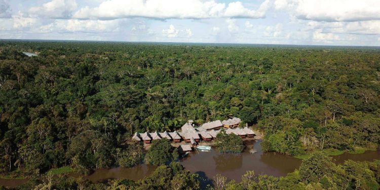 8 Awesome Perks that Come with an Amazon Tour