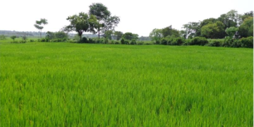 Residential farms for sale