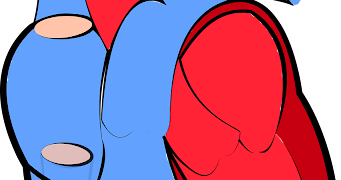 Does Consuming Delta 9 Reduce The Chances Of Heart Attacks?