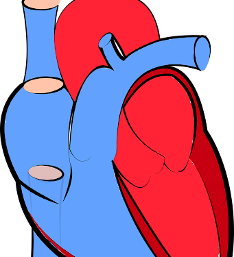 Does Consuming Delta 9 Reduce The Chances Of Heart Attacks?
