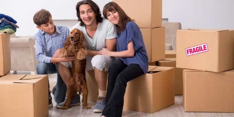 What Should You Know When Hiring a Pet Mover?