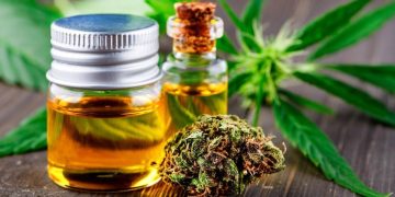 It’s now a lot easier to Find All-Natural Alternative Supplements at a CBD Shop in Florida