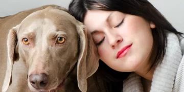 The Top 5 Reasons To Speak With a Pet Psychic