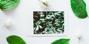 Kratom on Mental Wellness: Benefits, Types, and Side Effects