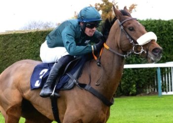 How Does India Horse Race Result Help Track Racing Performance?