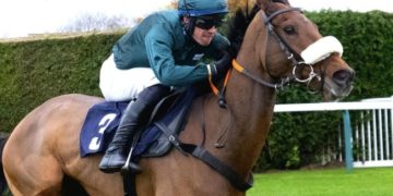 How Does India Horse Race Result Help Track Racing Performance?